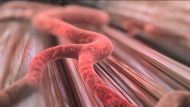 From Cell to Skin: The Anti-Aging Benefits of Light Therapy