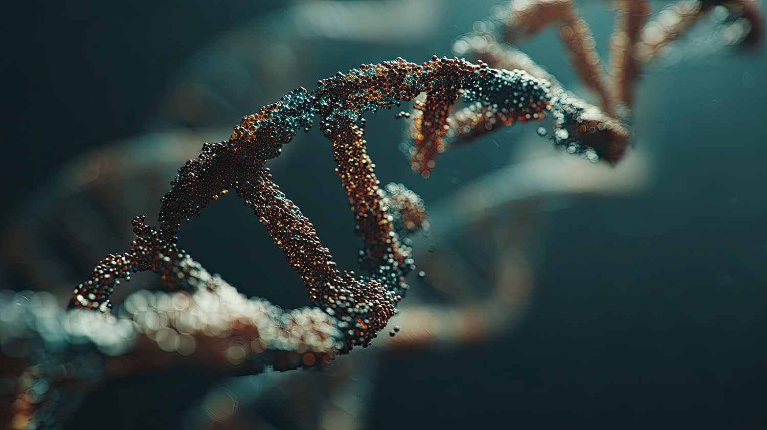 Does 5G Radiation Damage DNA? Exploring the Studies and Expert Voices